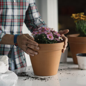 Root Growth & Soil Health Mix
