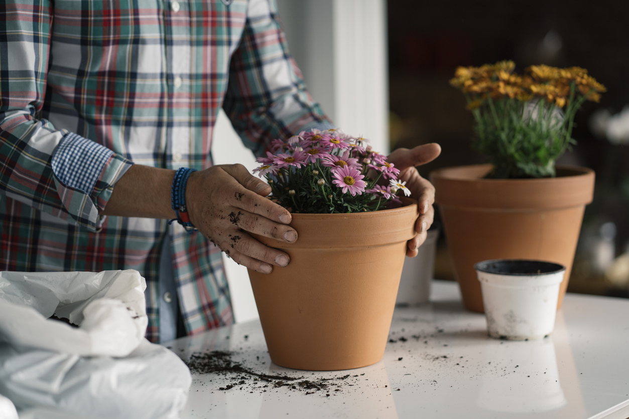 Root Growth & Soil Health Mix